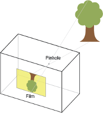 Cartoon image. There is a tree in the upper right corner. A cuboid-shape representing an outline of a pinhole camera sits in the bottom left corner. Inside this cuboid is a small, upside-down picture of the tree on a yellow background which is labelled ‘Film’. Two straight lines cross over each other, extending between the tree in the top right and the smaller upside-down tree. Next to the point where the two lines cross is text reading ‘Pinhole’.